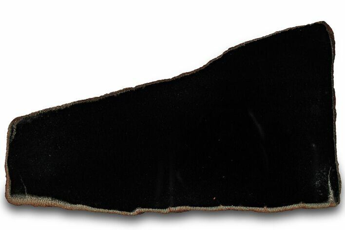 Polished Black Jade (Actinolite) Slab - Western Australia #314569